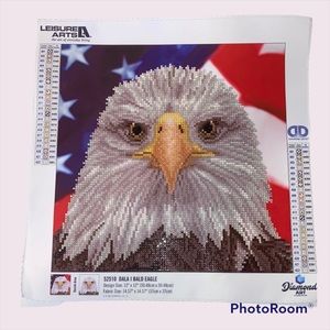 💄3 for $10💄 Bald Eagle completed Diamond painting 12x12”